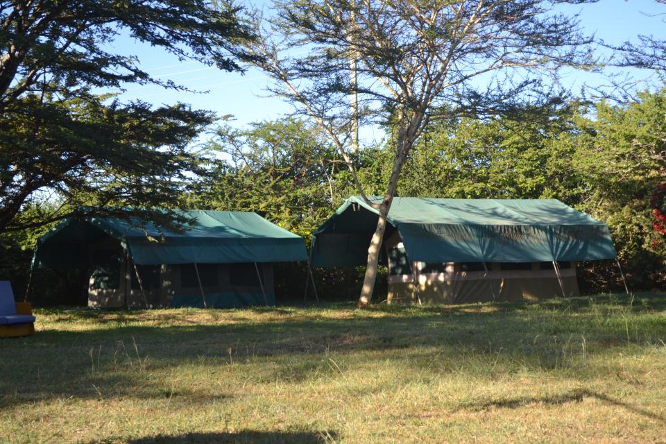 Tents set up under trees on the camp lawn.